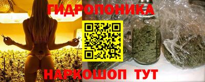 индика Нарткала