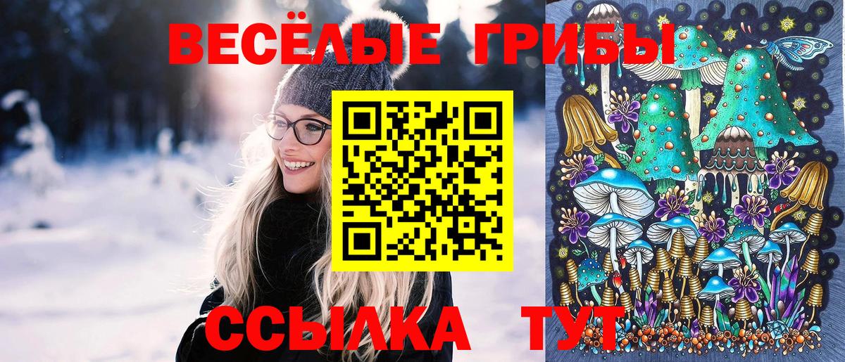 Псилоцибиновые грибы Cubensis  Псилоцибиновые грибы Cubensis  Строитель  Вход с VPN 