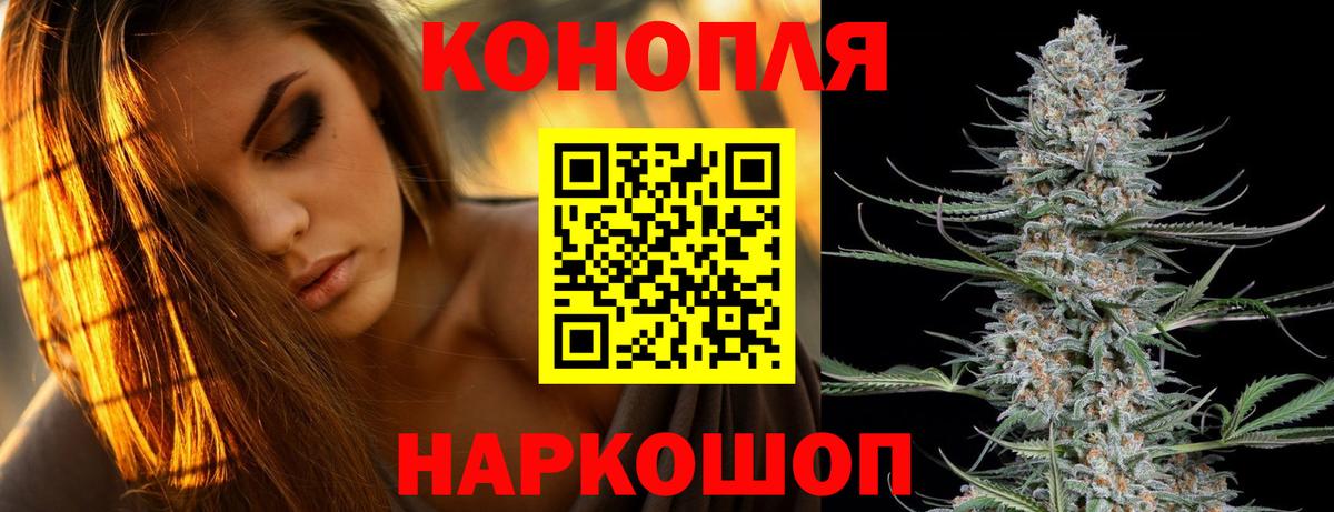 Бошки Шишки Bruce Banner  Шишки марихуана сатива  Строитель  Бошки Шишки семена  Вход с VPN  Каннабис MAZAR 